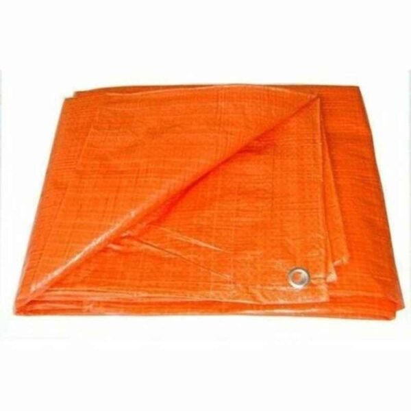 BUY 60x60ft Orange & Silver Plastic Tarpaulin Sheet in UAE
